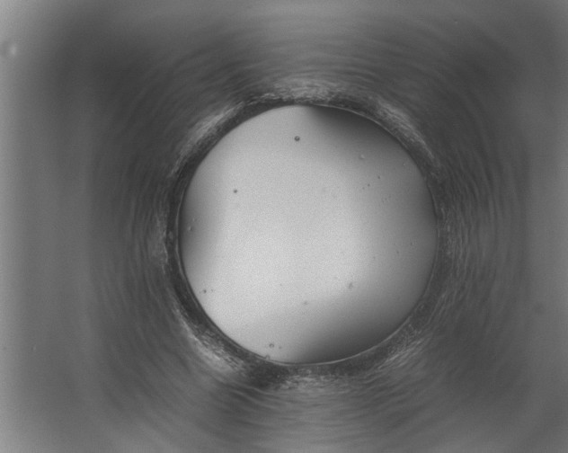 X0000067500538200604211727