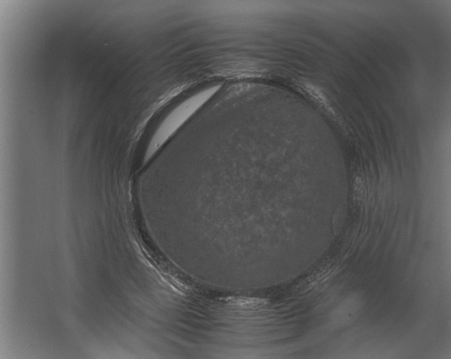 X0000067500539200604211727