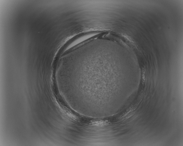 X0000067500540200604211727