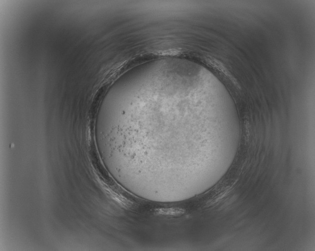 X0000067500541200604211727