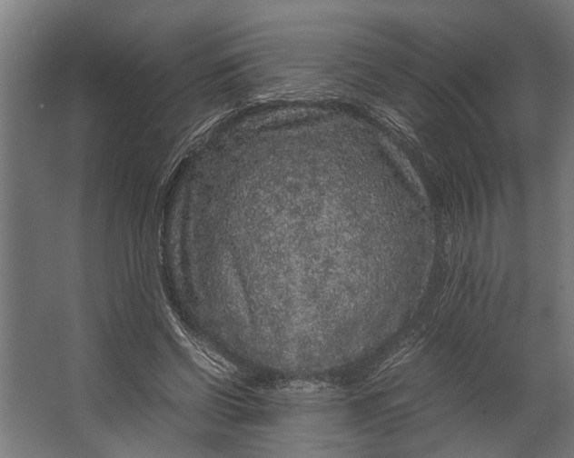 X0000067500542200604211727