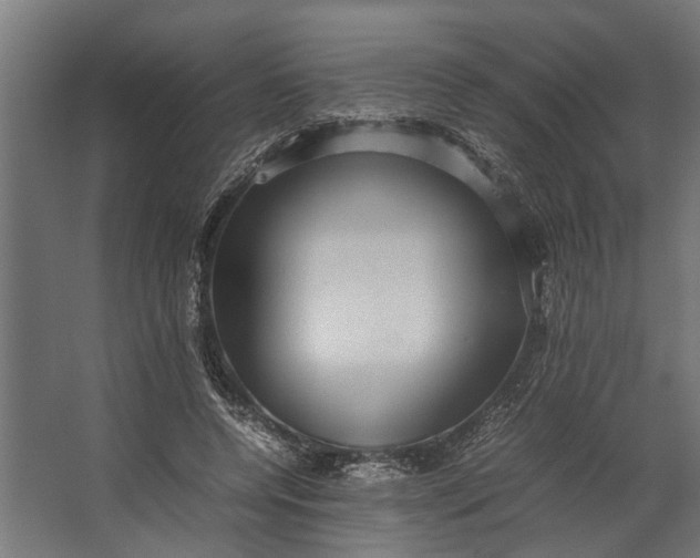 X0000067500544200604211727