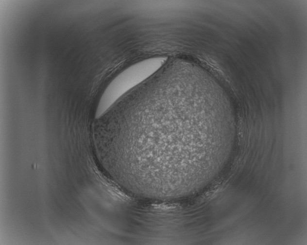 X0000067500545200604211727