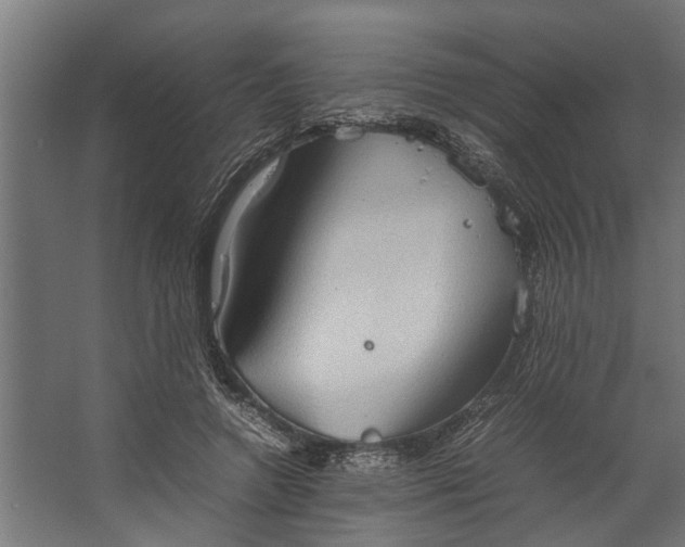 X0000067500546200604211727