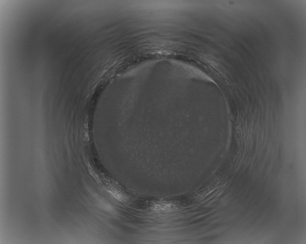 X0000067500547200604211727