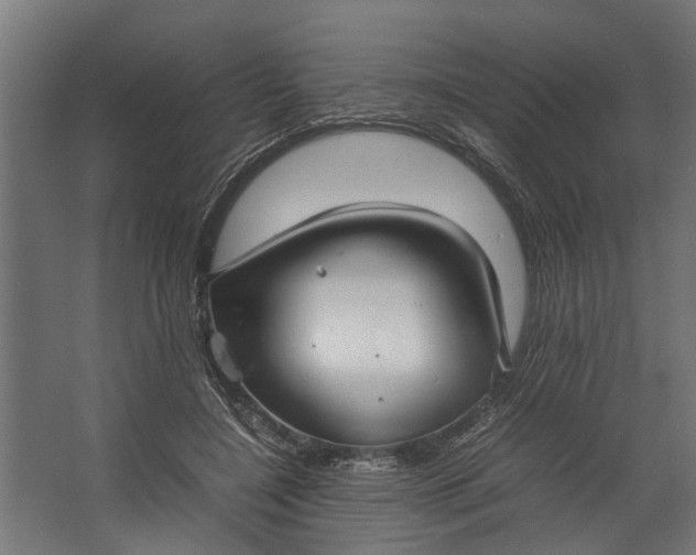 X0000067500548200604211728