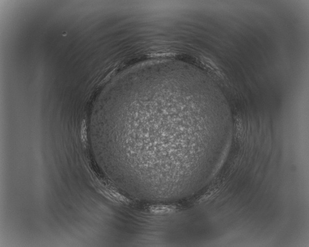 X0000067500549200604211728