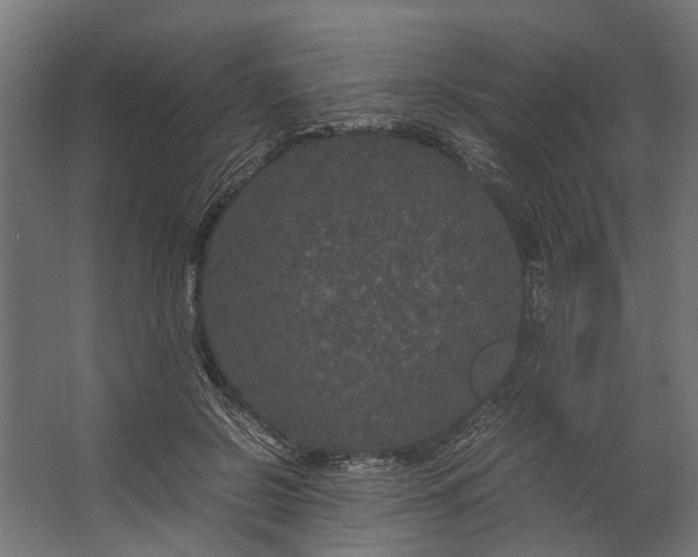 X0000067500550200604211728