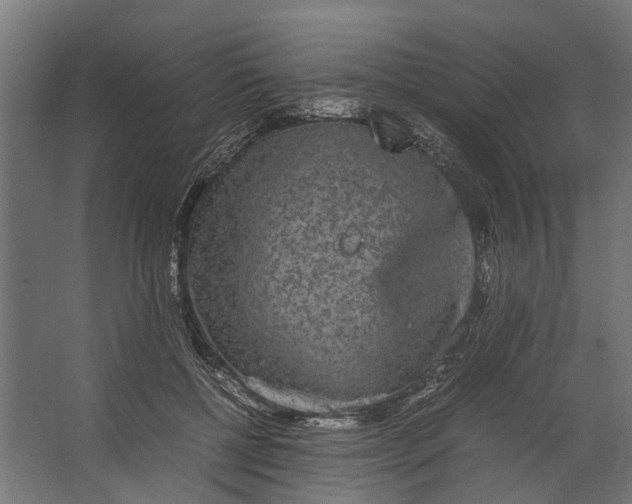 X0000067500552200604211728