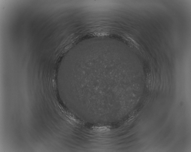 X0000067500553200604211728