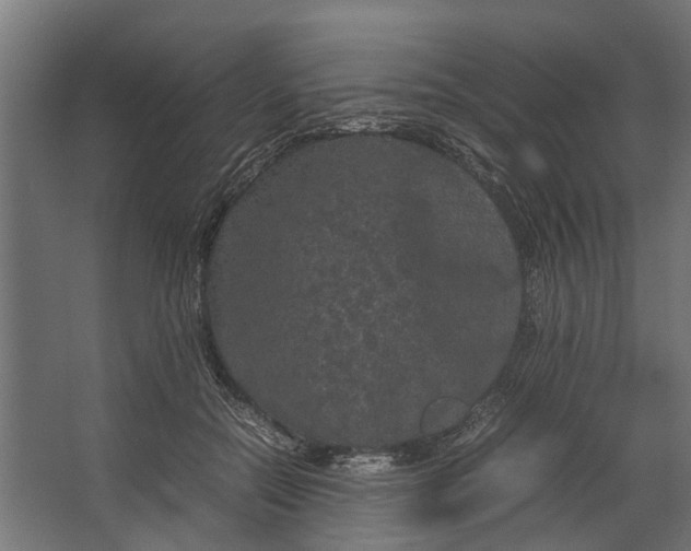 X0000067500554200604211728