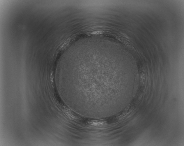 X0000067500555200604211728