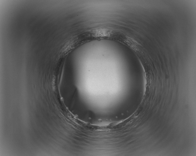 X0000067500556200604211728