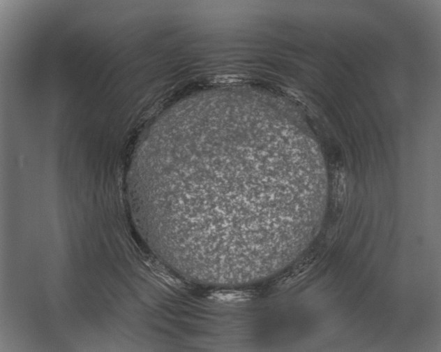 X0000067500557200604211728