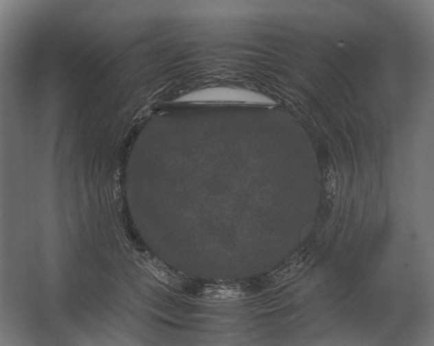 X0000067500559200604211728