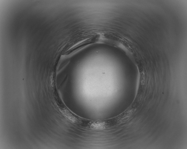 X0000067500560200604211728