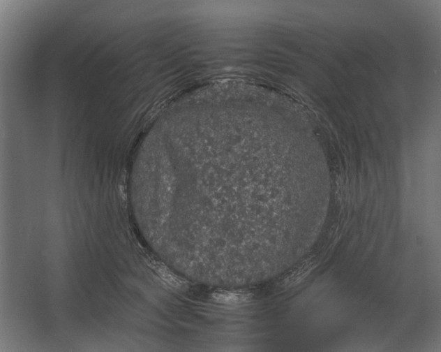 X0000067500561200604211728