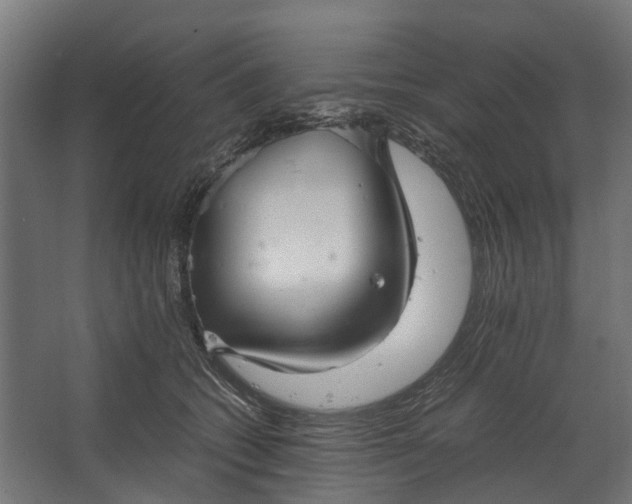 X0000067500562200604211728