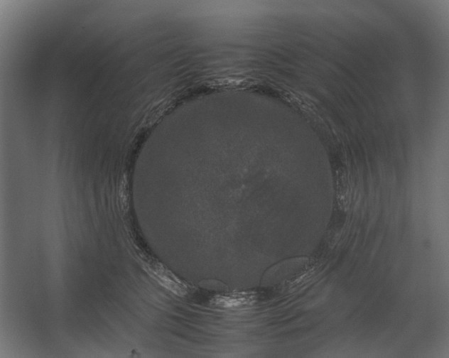 X0000067500563200604211728