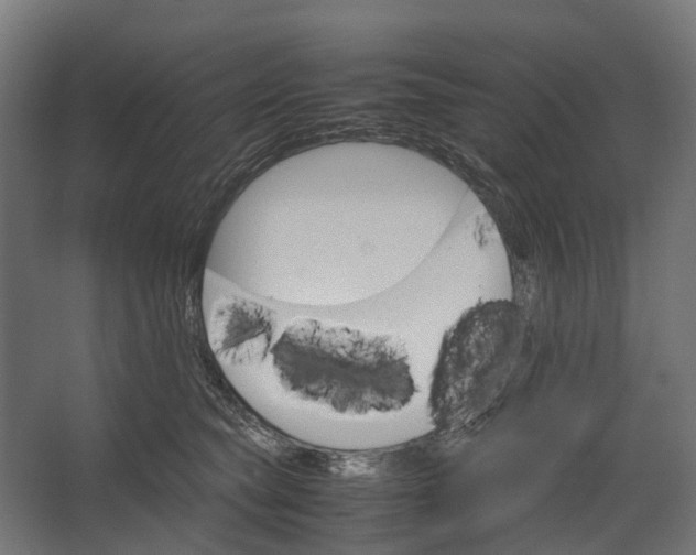 X0000067500565200604211728