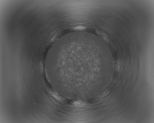 X0000067500568200604211728