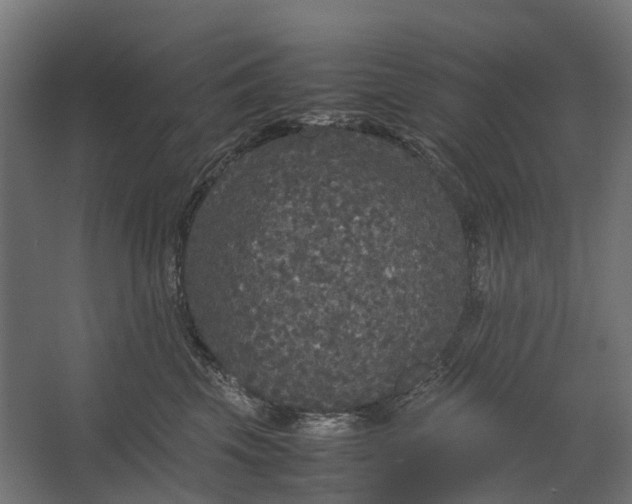 X0000067500569200604211728