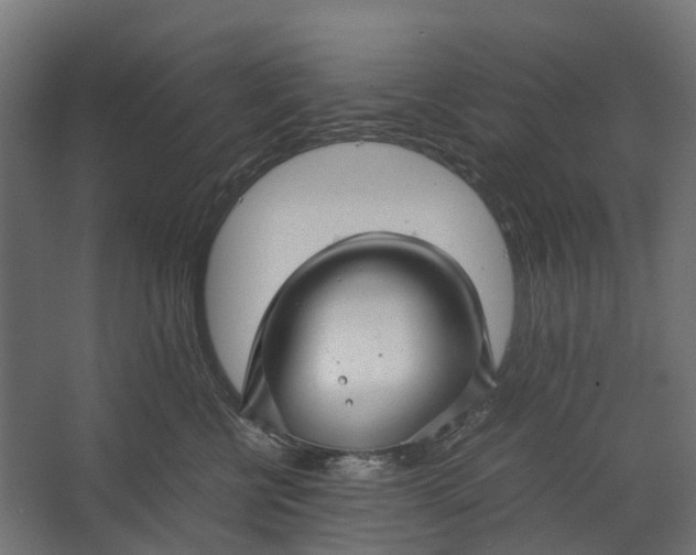 X0000067500570200604211728