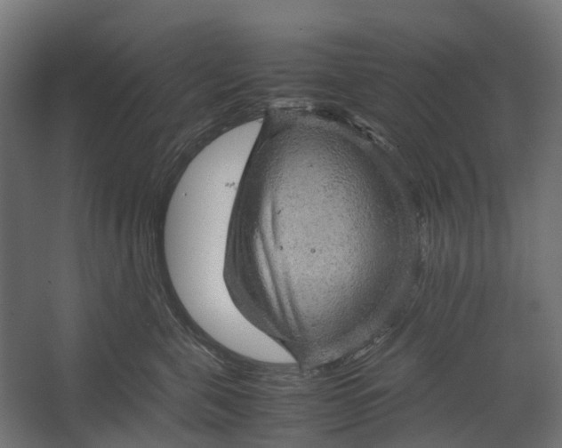 X0000067500571200604211728