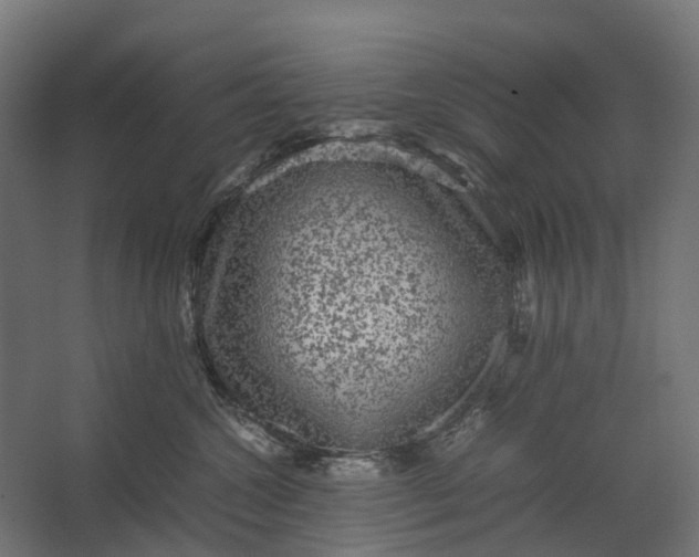 X0000067500572200604211728