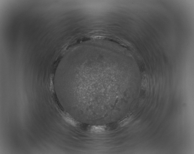 X0000067500573200604211728