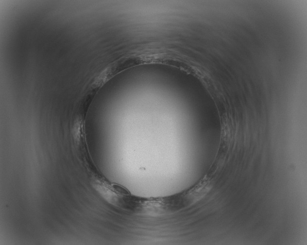 X0000067500574200604211728