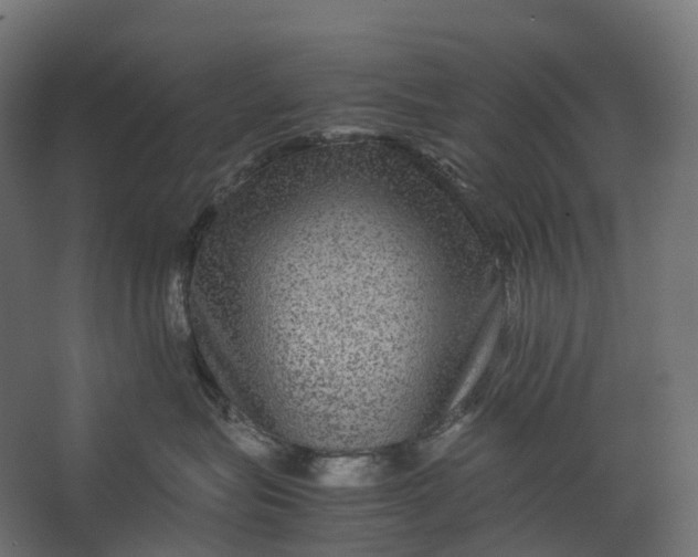 X0000067500575200604211728