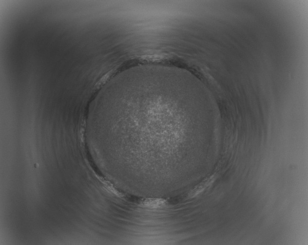 X0000067500576200604211728