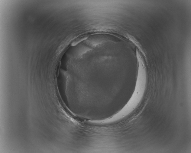 X0000067500577200604211727