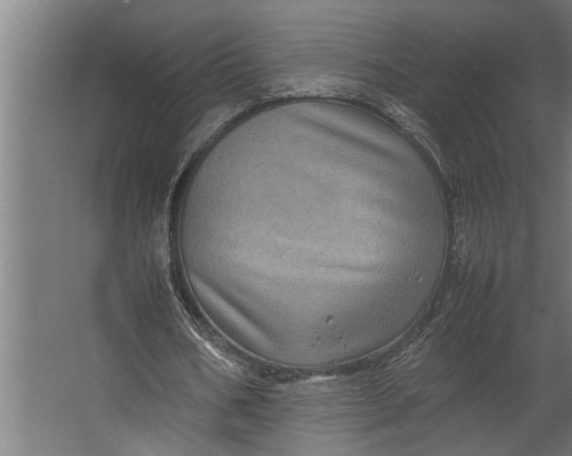 X0000067500578200604211727