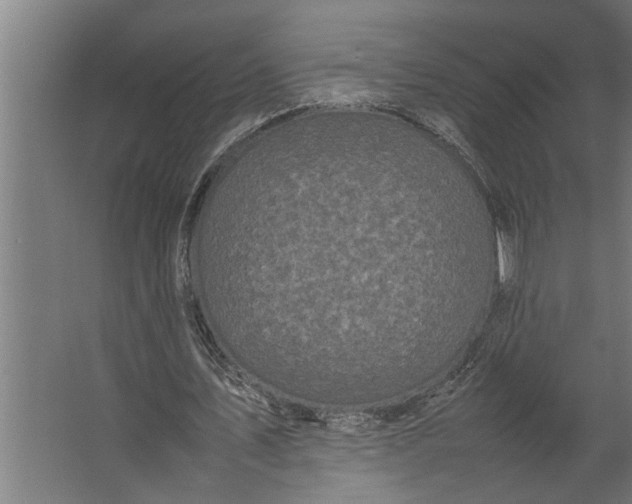 X0000067500579200604211727