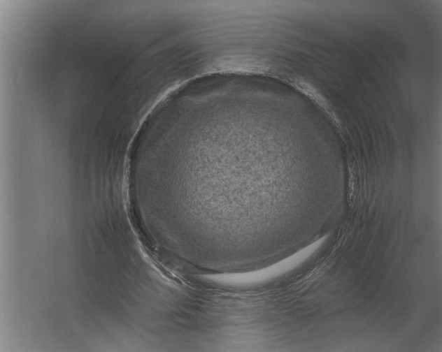 X0000067500580200604211727