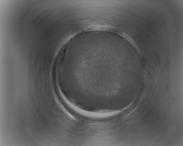 X0000067500581200604211727