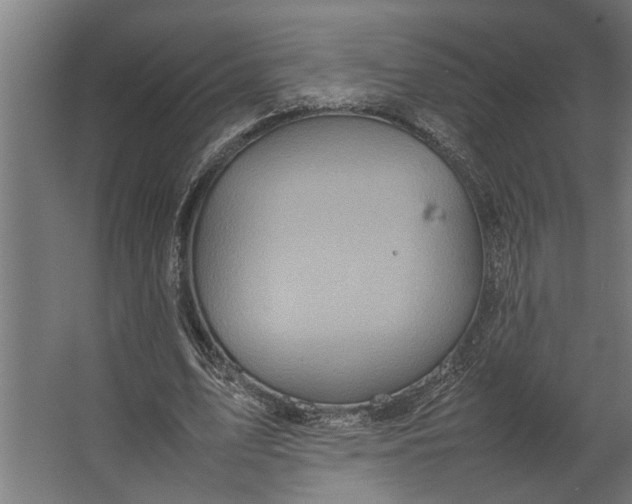 X0000067500583200604211727