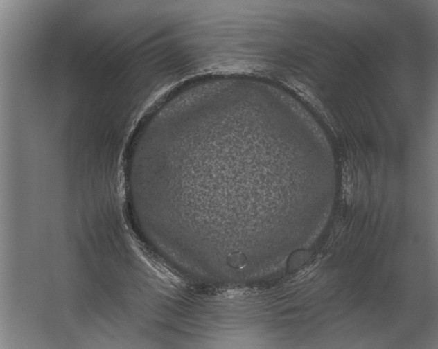 X0000067500584200604211727