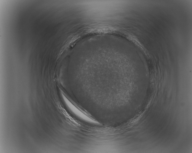 X0000067500585200604211727