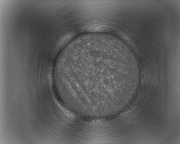 X0000067500586200604211727