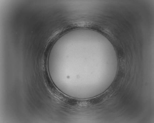 X0000067500587200604211727