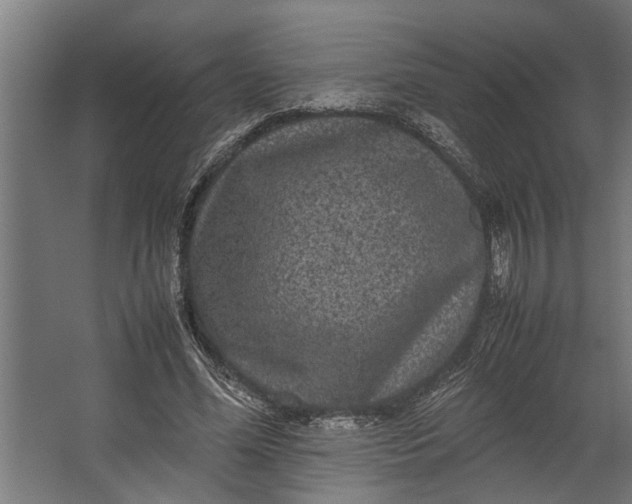 X0000067500588200604211727