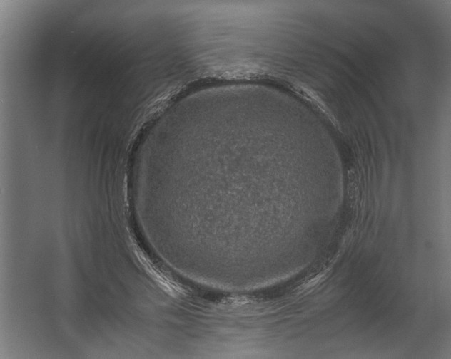 X0000067500589200604211727