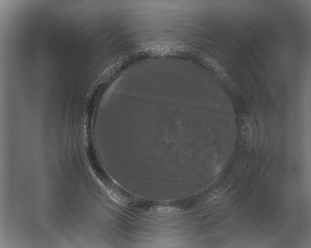 X0000067500590200604211727