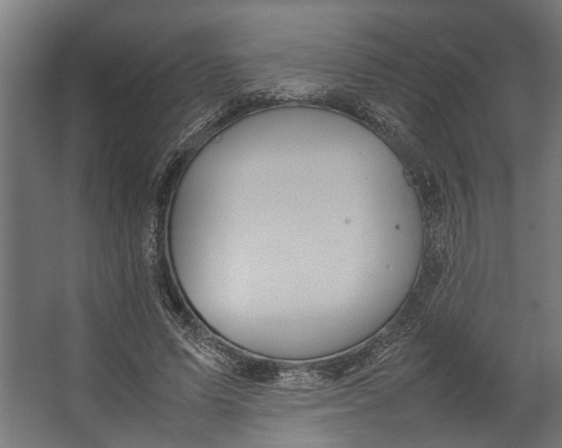 X0000067500591200604211727