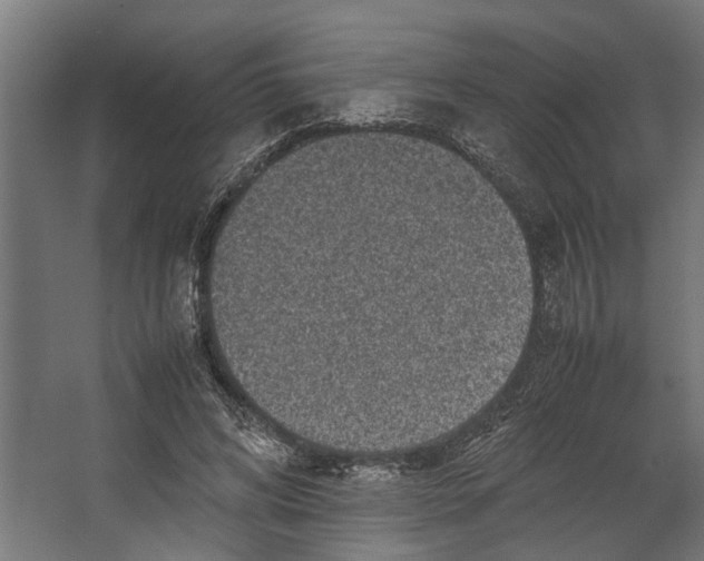 X0000067500592200604211727