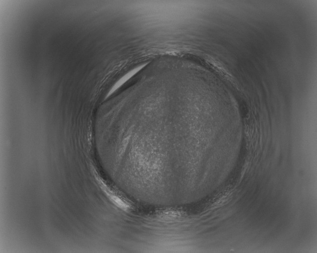 X0000067500593200604211727