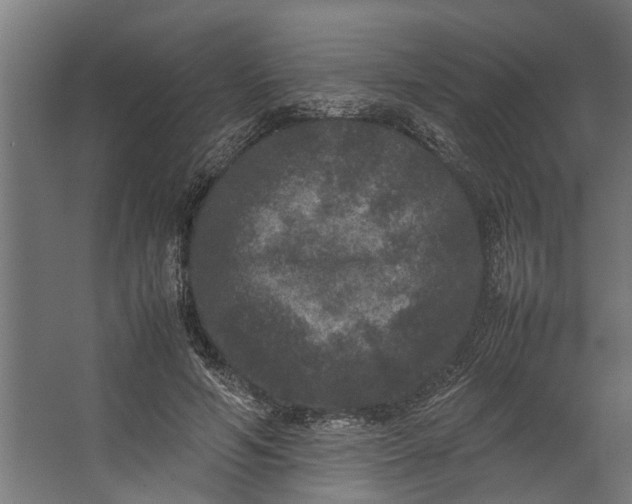 X0000067500594200604211727